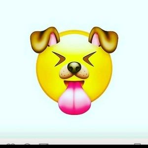 Meet your Posher, Rodney